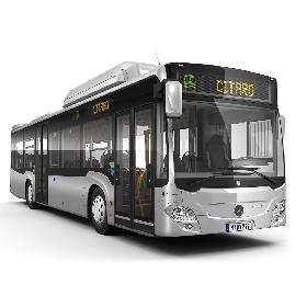 Terrain desert 3D model